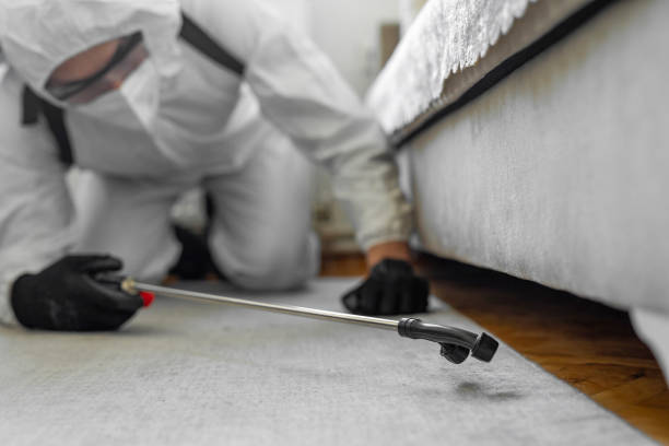 Professional Ant Control technician working in Falls City, OR