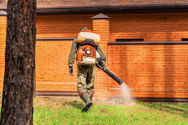 Top rated local Ant Control specialists in Falls City, OR